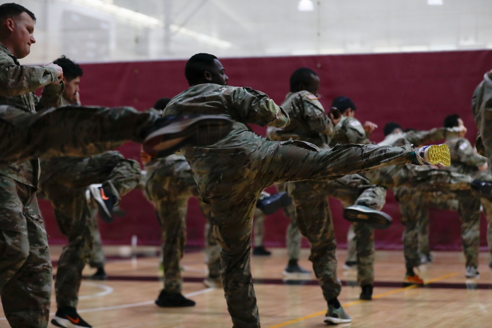 1st Signal Brigade soldiers take a Taekwondo yellow belt promotion test