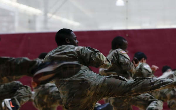 1st Signal Brigade soldiers take a Taekwondo yellow belt promotion test