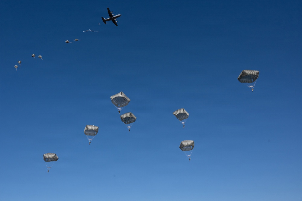 U.S., Japan Ground Self-Defense Force commence New Year’s Jump