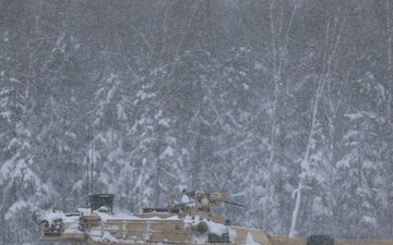 6th Squadron, 9th Cavalry Regiment, 1st Cavalry Division PLT STX