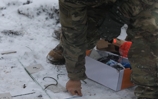 6th Squadron, 9th Cavalry Regiment, 1st Cavalry Division PLT STX