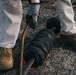 346th EABS conduct first MAAS certification test in Puerto Rico