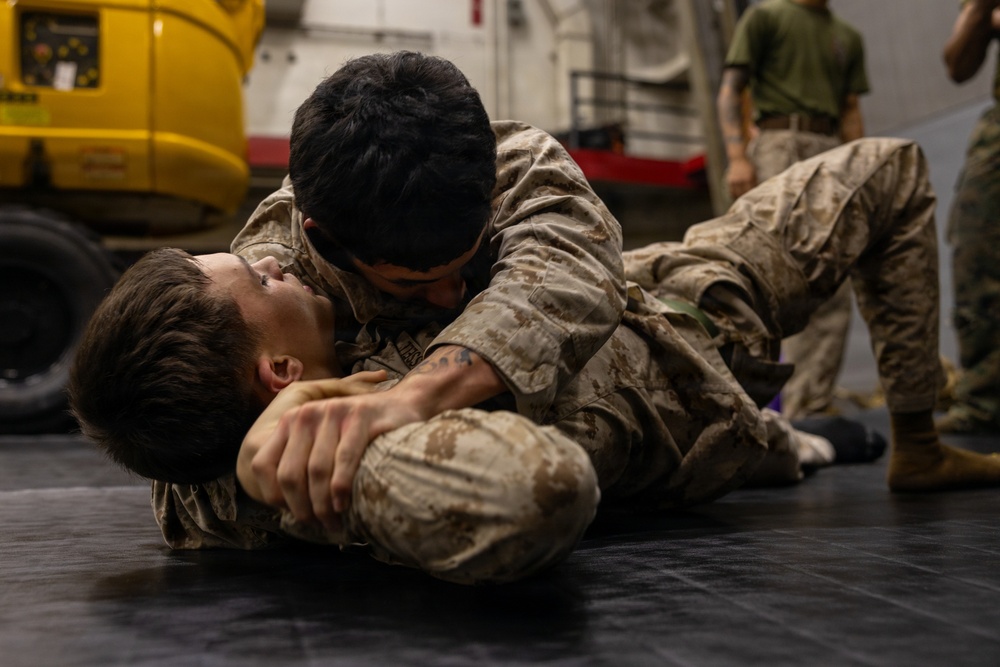 22nd MEU(SOC) | Marines Conduct Martial Arts Training Aboard USS San Antonio