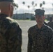 Strengthening the Spine of the Force: 13th MEU NCO Promotions