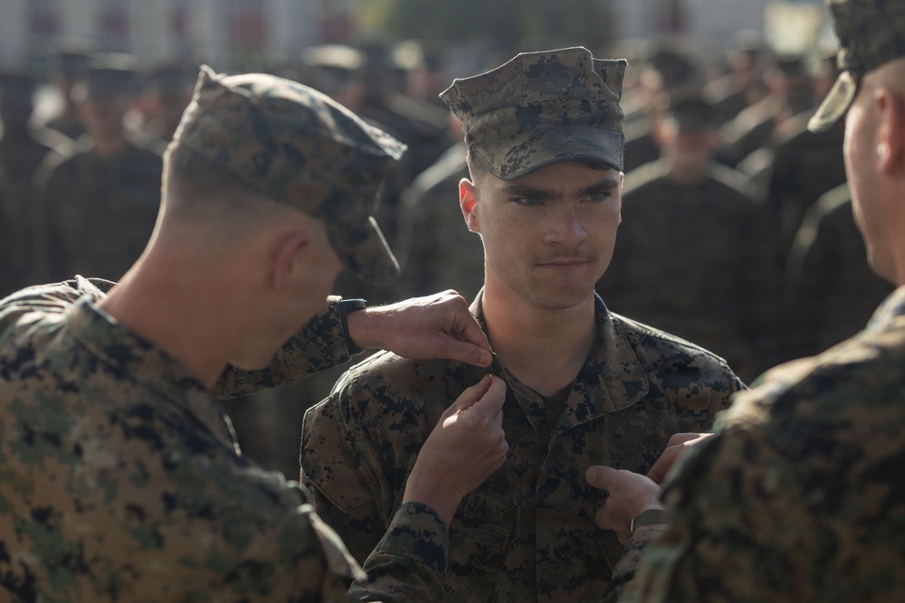 Strengthening the Spine of the Force: 13th MEU NCO Promotions