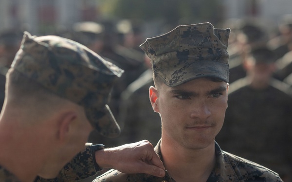 Strengthening the Spine of the Force: 13th MEU NCO Promotions