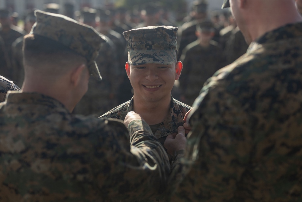 Strengthening the Spine of the Force: 13th MEU NCO Promotions