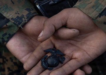 Fox Company EGA Ceremony