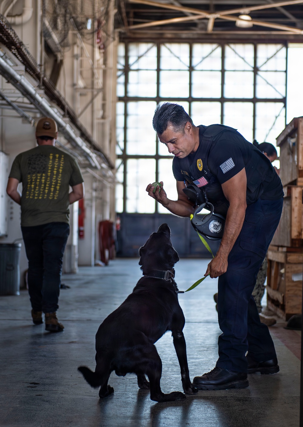 Military Working Dogs Training Exercise
