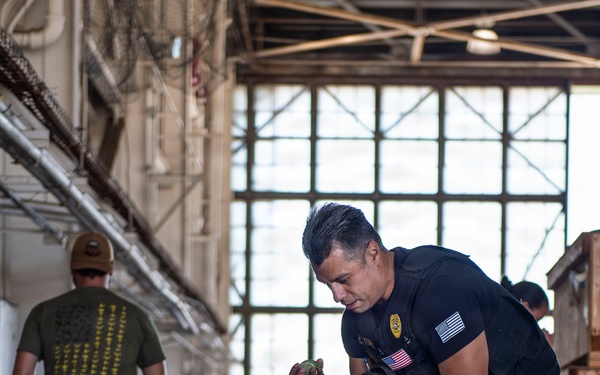 Military Working Dogs Training Exercise