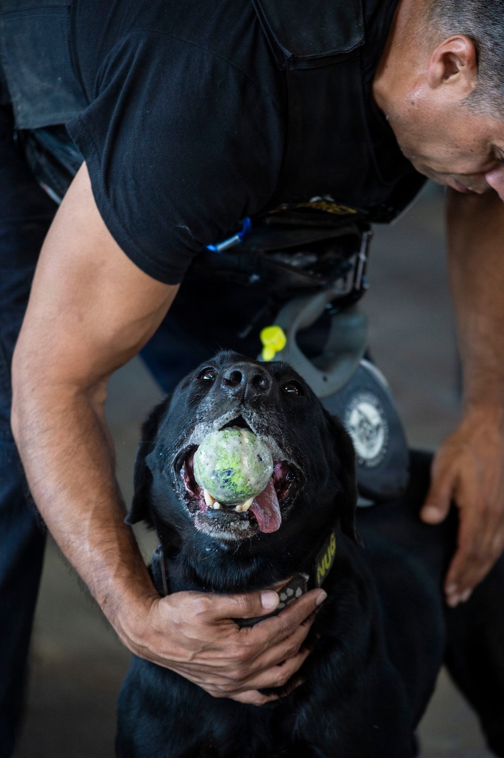 Military Working Dog Explosive Detection Training