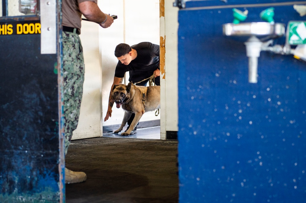 Military Working Dog Explosive Detection Training