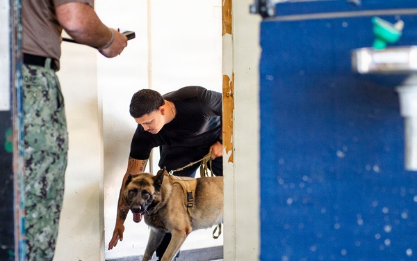 Military Working Dog Explosive Detection Training