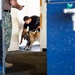 Military Working Dog Explosive Detection Training
