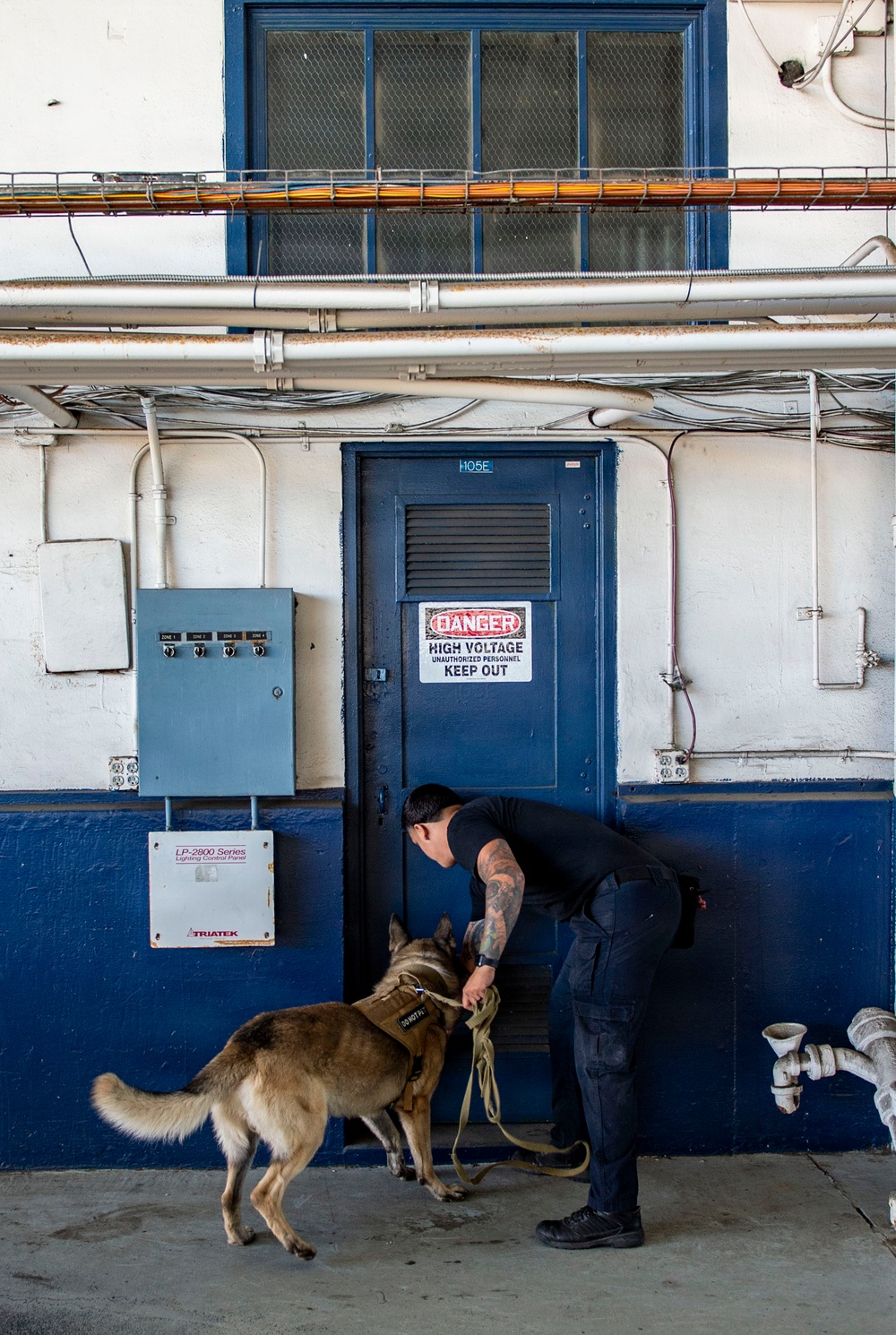 Military Working Dog Explosive Detection Training