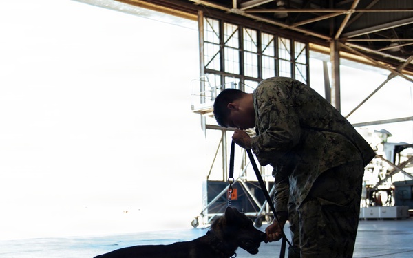 Military Working Dog Explosive Detection Training