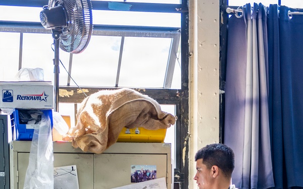 Military Working Dog Explosive Detection Training