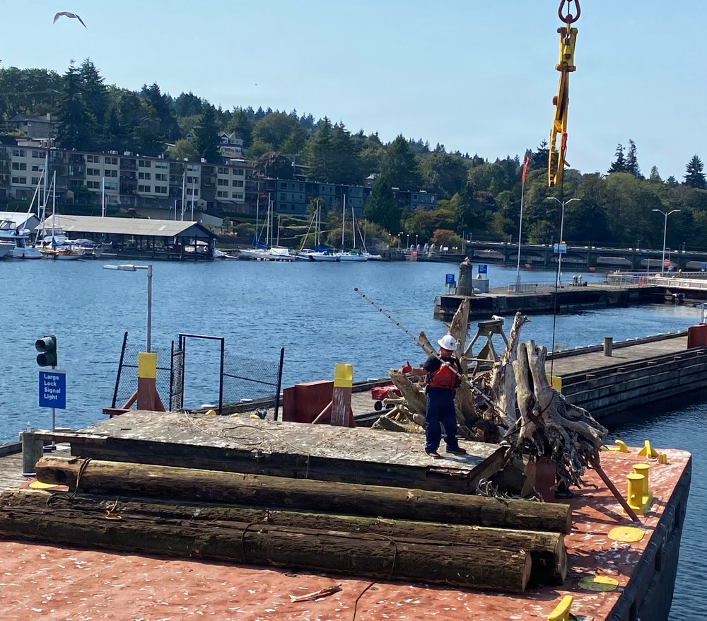 Second Life: Turning Debris into Critical River and Coastal Habitats