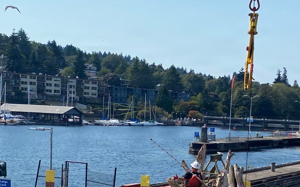 Second Life: Turning Debris into Critical River and Coastal Habitats