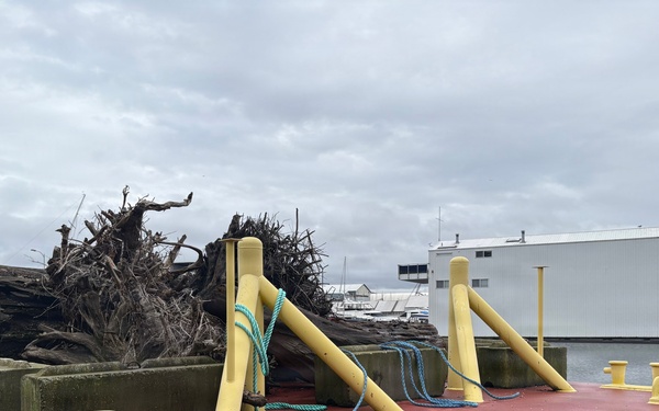 Second Life: Turning Debris into Critical River and Coastal Habitats