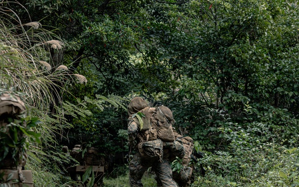 4th Light Armored Reconnaissance PEX Day 2