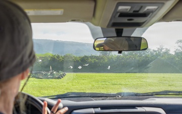 PMRF Wildlife Biologist Trains Sailors for WIldlife Detection and Dispersal Team