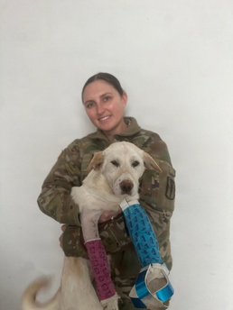 Army ICU Nurse Rescues Hit-and-Run Puppy in South Korea