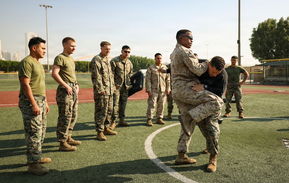 TF 51/5th MEB conducts MCMAP sustainment