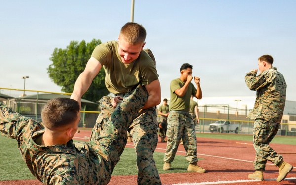 TF 51/5th MEB conducts MCMAP sustainment