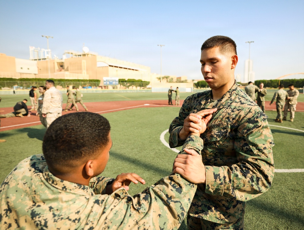TF 51/5th MEB conducts MCMAP sustainment