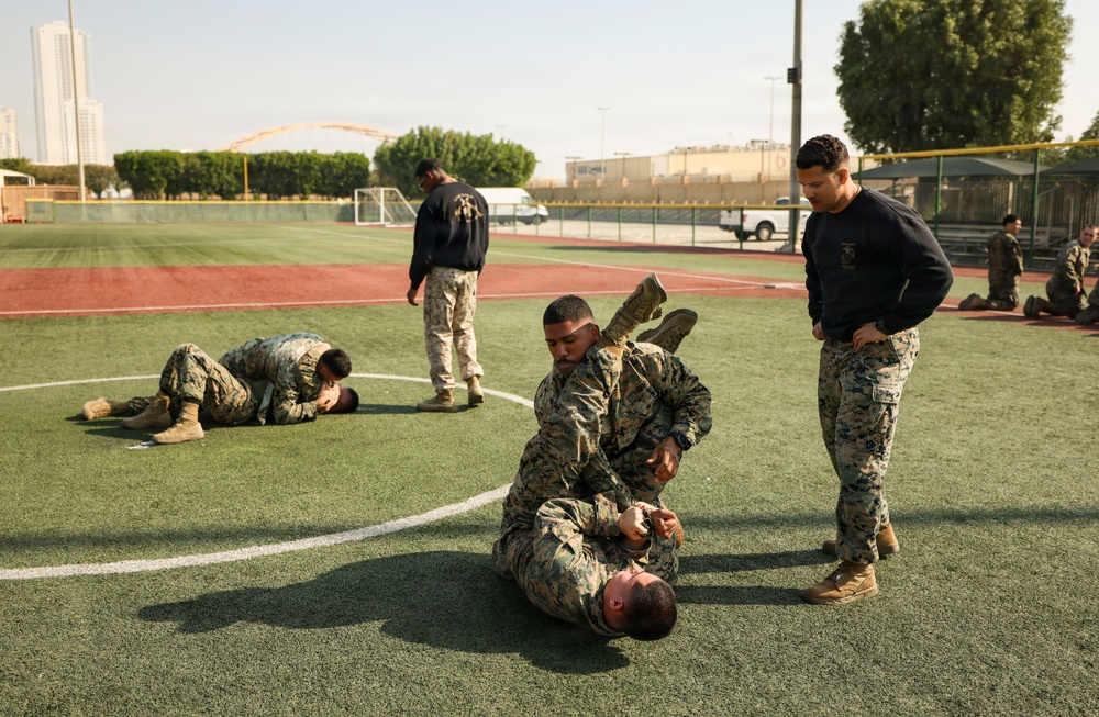 TF 51/5th MEB conducts MCMAP sustainment