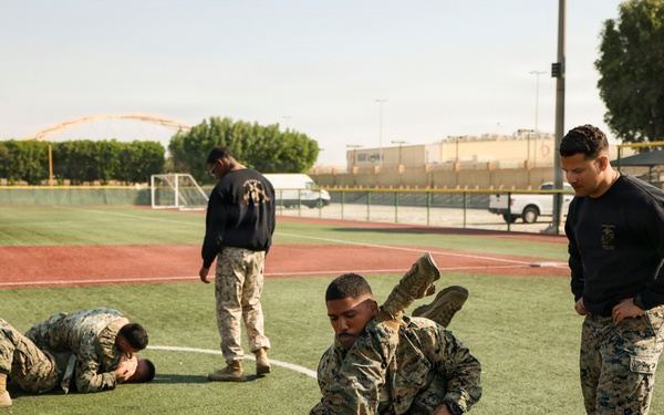 TF 51/5th MEB conducts MCMAP sustainment