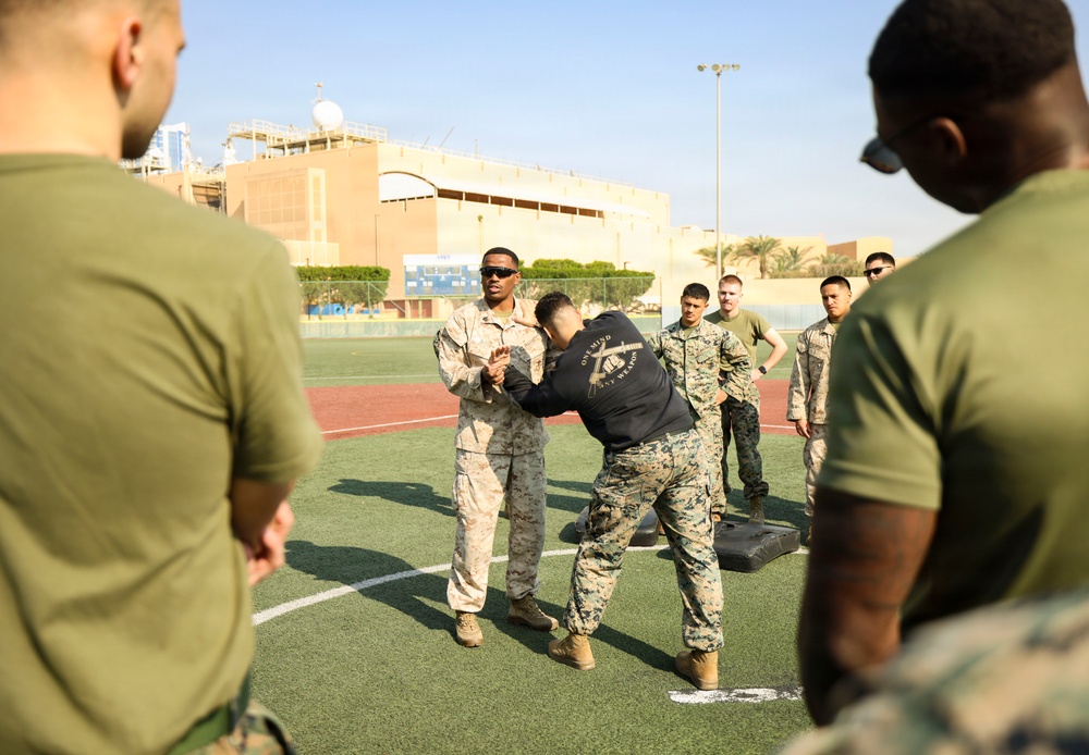 TF 51/5th MEB conducts MCMAP sustainment