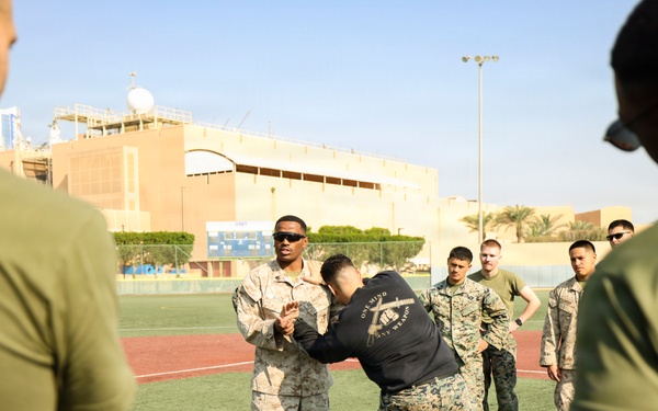 TF 51/5th MEB conducts MCMAP sustainment