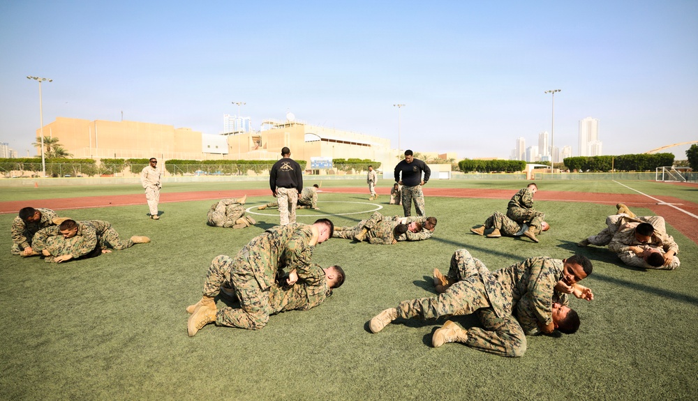 TF 51/5th MEB conducts MCMAP sustainment