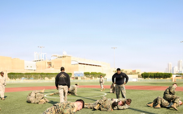 TF 51/5th MEB conducts MCMAP sustainment