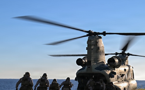 Joint Task Force Southern Guard executes quick response force drills