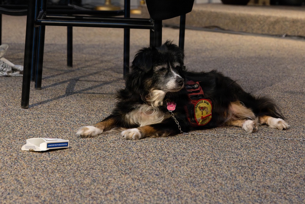 U.S. Marines and Sailors attend 1 Degree of Separation comedy show