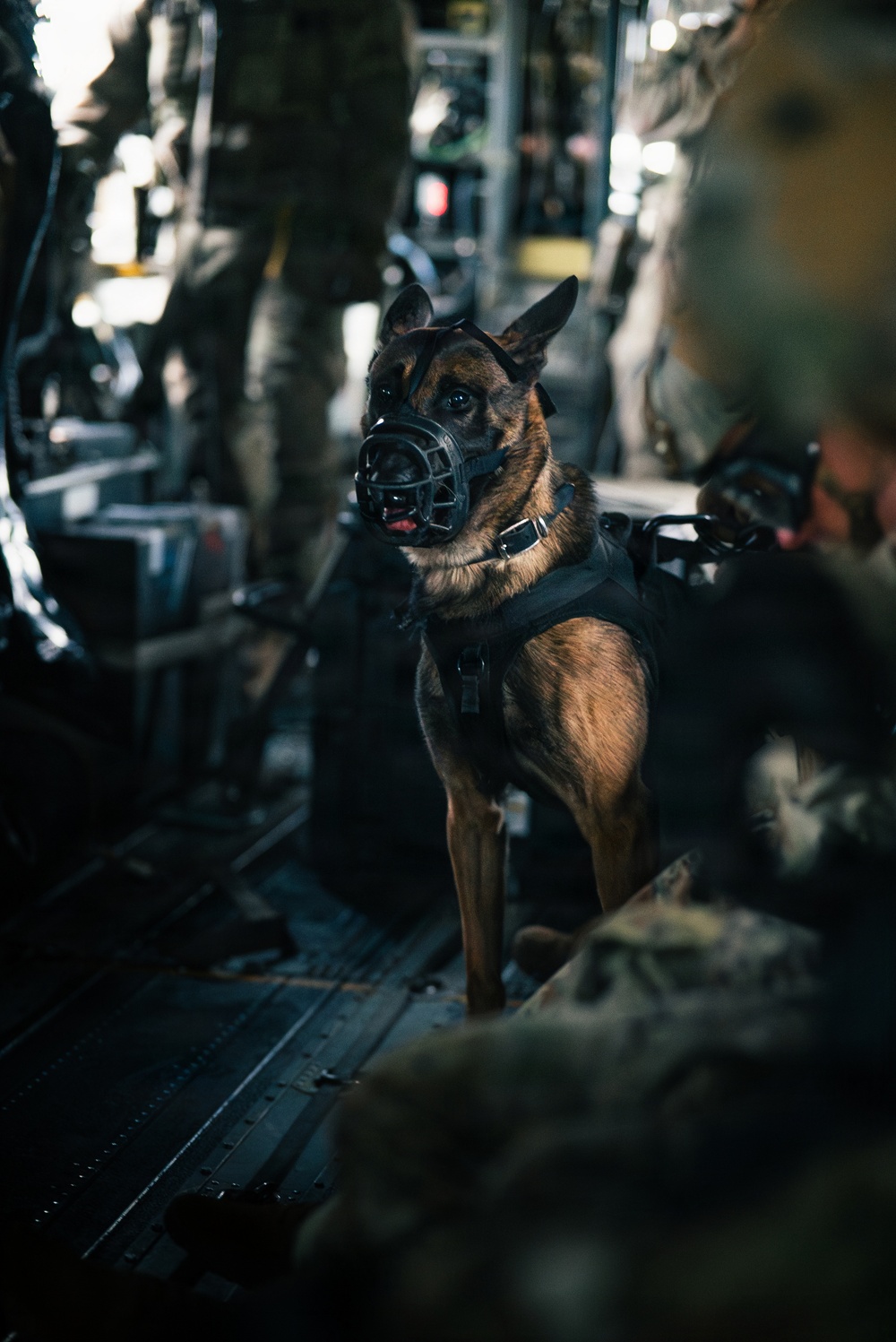 1SFG(A) Green Berets conduct fast rope insertion/extraction exercises