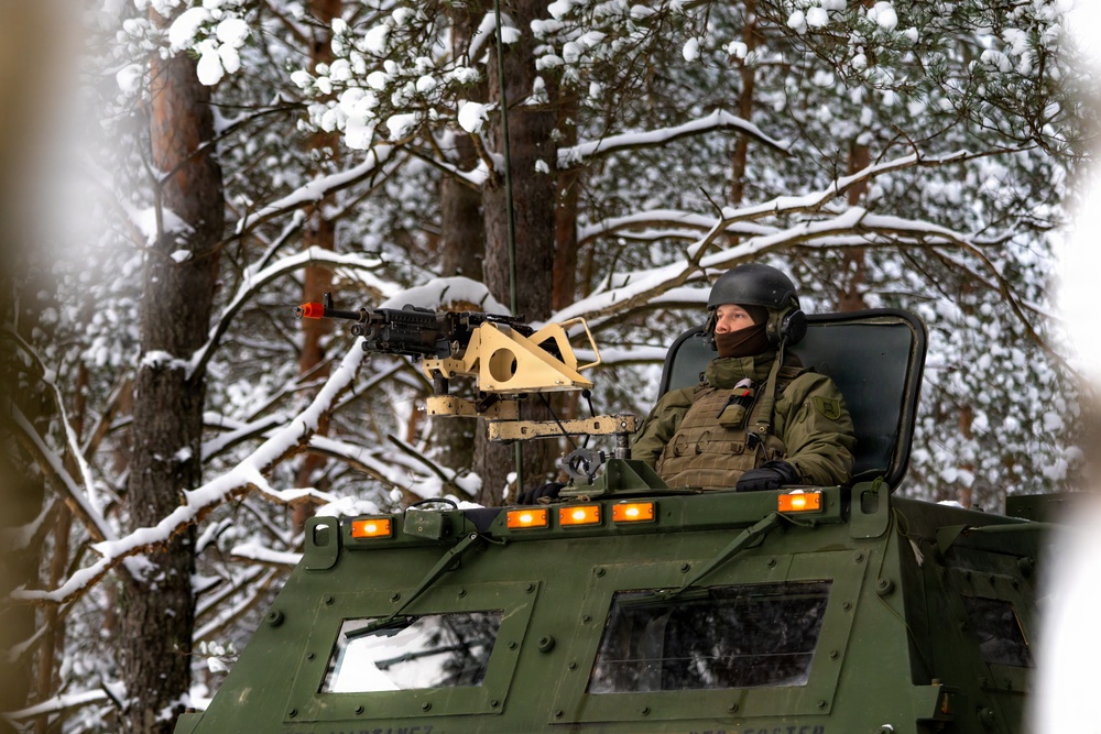 1-14 FAR Conducts HIMARS Training with Lithuanian Armed Forces