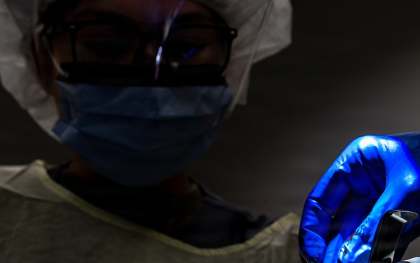 Tooth Extraction in Action: The 86th Dental Squadron