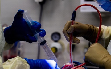 Tooth Extraction in Action: The 86th Dental Squadron