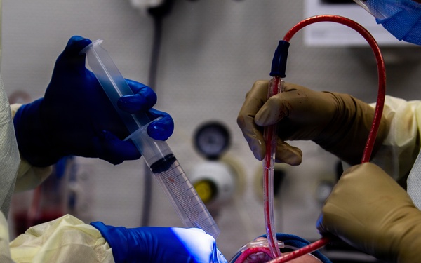 Tooth Extraction in Action: The 86th Dental Squadron