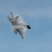 F-22 Raptor Aerial Demonstration Team performs at the Scott Air Show 2023