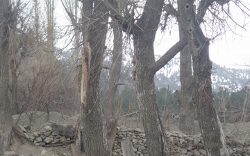 Soldier pulling security