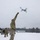 Operation Winter Falcon 26
