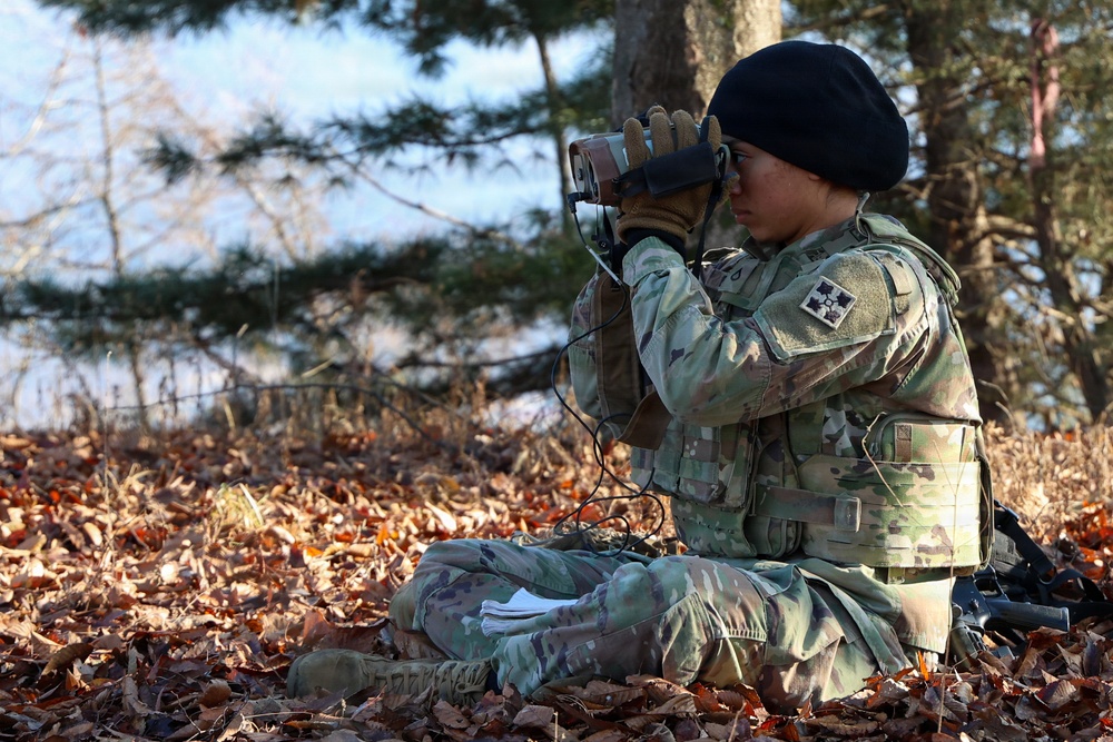 2-2 AHB Conducts Joint Fast-Rope Air Assault Training