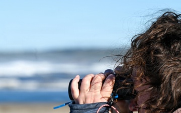 Vandenberg Environmental Team Conducts Western Snowy Plover Winter Survey
