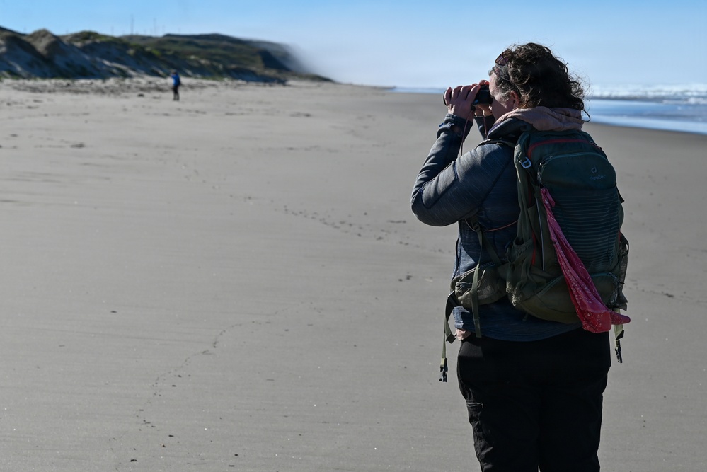 Vandenberg Environmental Team Conducts Western Snowy Plover Winter Survey