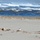 Vandenberg Environmental Team Conducts Western Snowy Plover Winter Survey